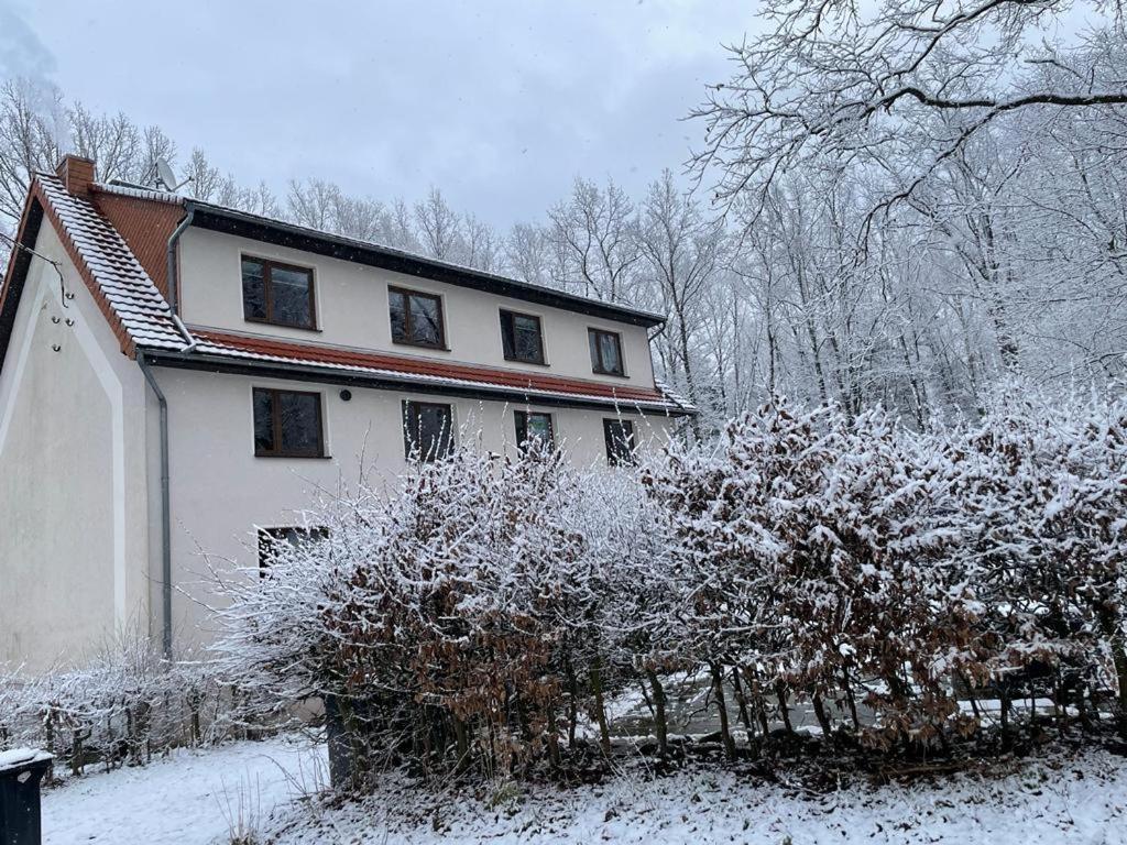 Apartment Am Hochwald Reinhardtsdorf-Schona Exterior foto